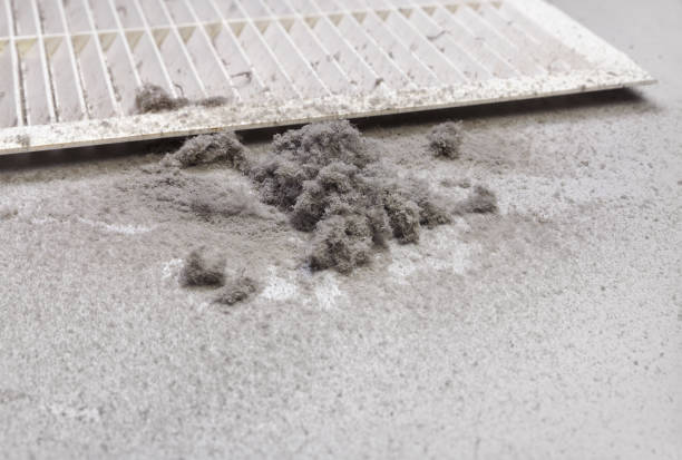Best Affordable HVAC Duct Cleaning  in Jasmine Estates, FL