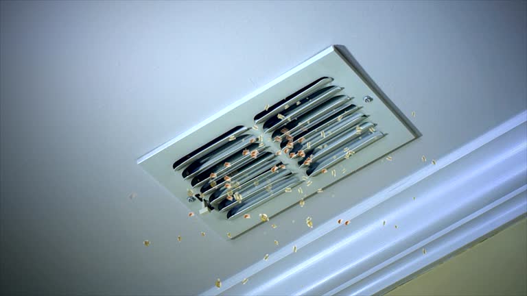 Best Air Duct Cleaning Near Me  in Jasmine Estates, FL