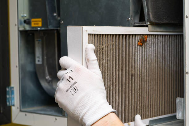 Best Professional Duct Cleaning Services  in Jasmine Estates, FL
