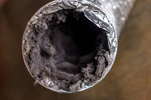 Best Best Air Duct Cleaning Company  in Jasmine Estates, FL