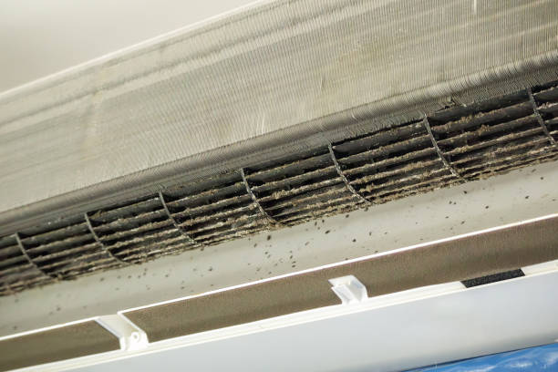 Best Air Duct Cleaning Near Me  in Jasmine Estates, FL